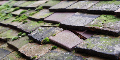 Olney roof repair costs